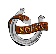 Radio Noroc